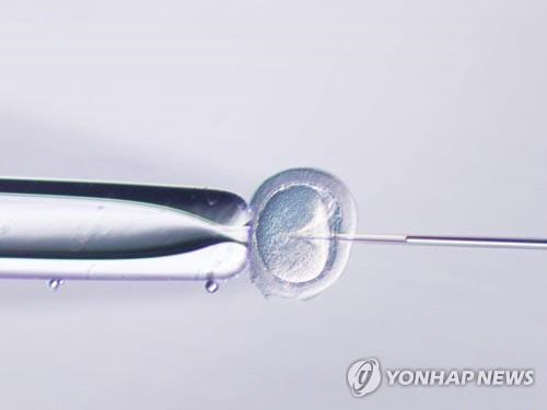 난자에 정자를 주입하는 모습 [올림푸스 제공]